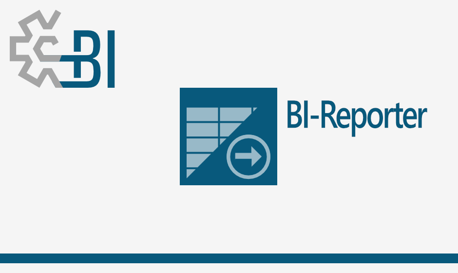 BI-Fabrik | BI-Reporter
